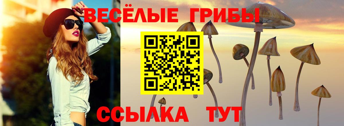 Феодосия  Псилоцибиновые грибы Psilocybine cubensis  Галлюциногенные грибы Cubensis  Вход с VPN 